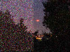 Riduzione TOTALE dell'effetto rumore in una foto digitale