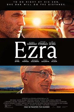 Locandina di In viaggio con mio figlio