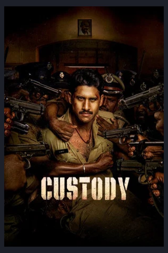 Locandina di Custody