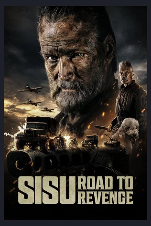 Locandina di Sisu 2