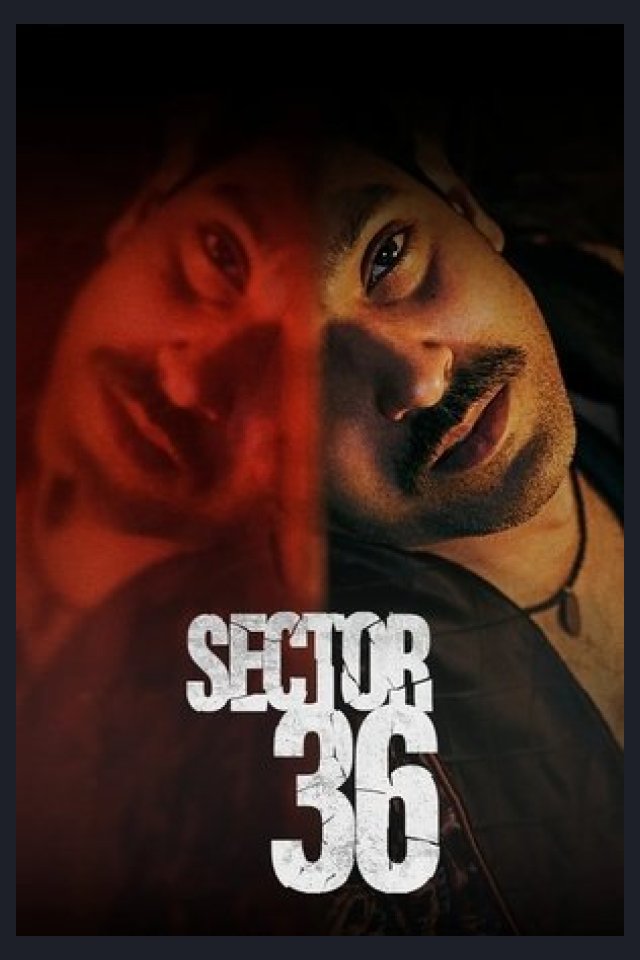 Locandina di Sector 36