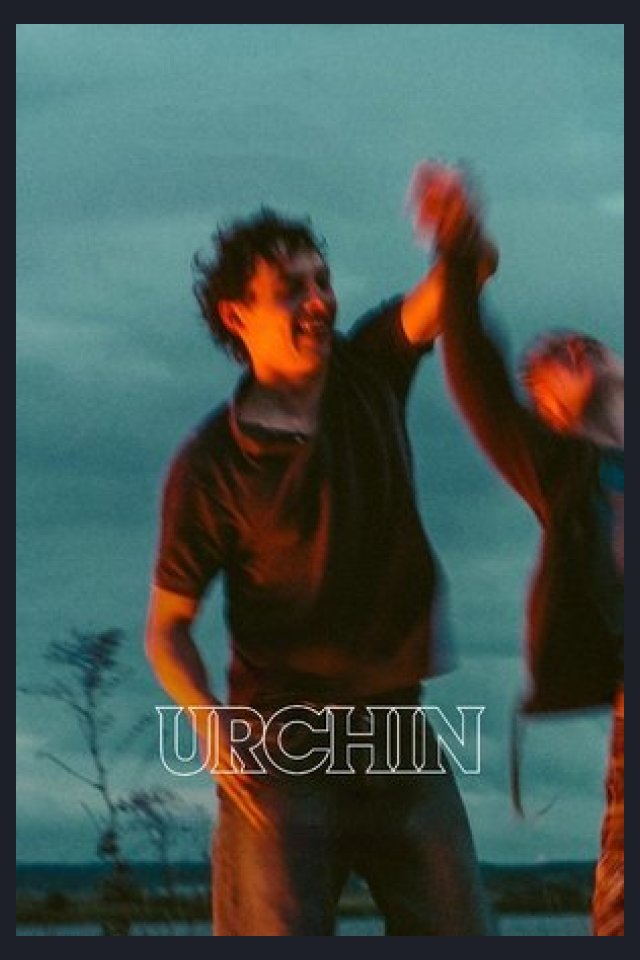 Locandina di Urchin
