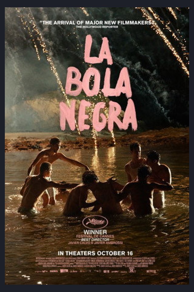 Locandina di La bola negra