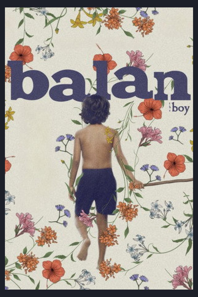 Locandina di The Boy