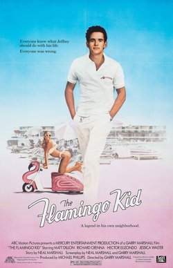 Locandina di Flamingo Kid