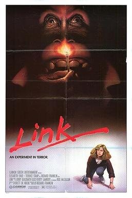 Locandina di Link