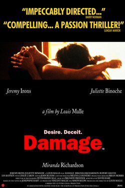 Locandina di Il danno