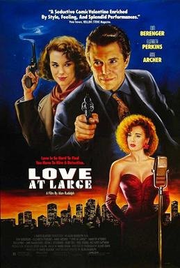 Locandina di Un amore passeggero
