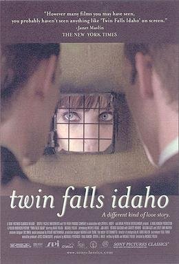 Locandina di Twin Falls Idaho