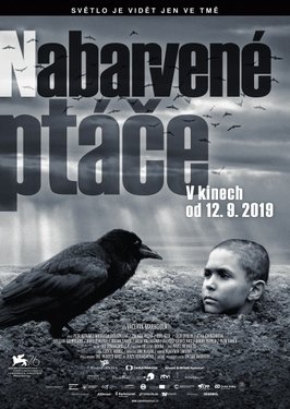 Locandina di Nabarvené ptáče