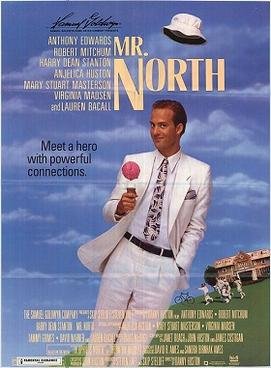 Locandina di Mr. North