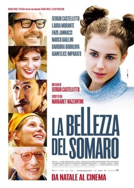 Locandina di La bellezza del somaro