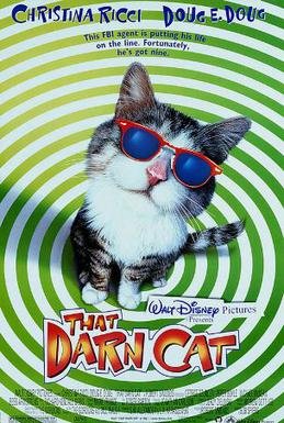 Locandina di Operazione gatto 1997