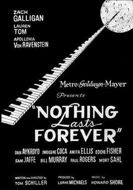 Locandina di Niente dura per sempre