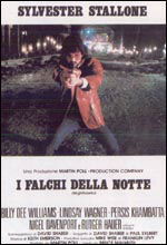 I falchi della notte