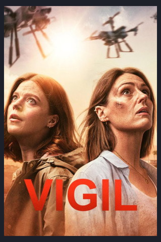 Locandina di Vigil - Indagine a bordo