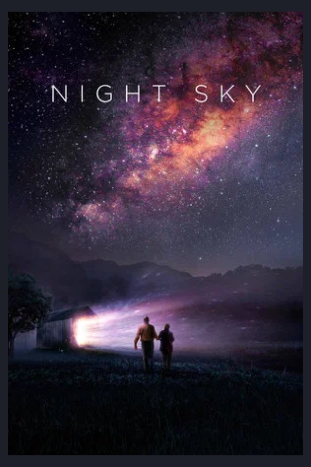 Locandina di Notte stellata