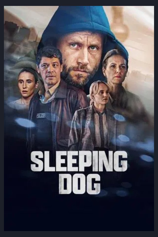 Locandina di Schlafende Hunde