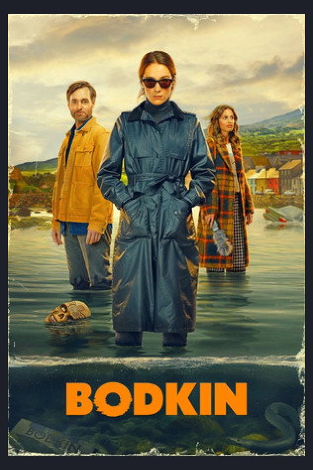 Locandina di Bodkin