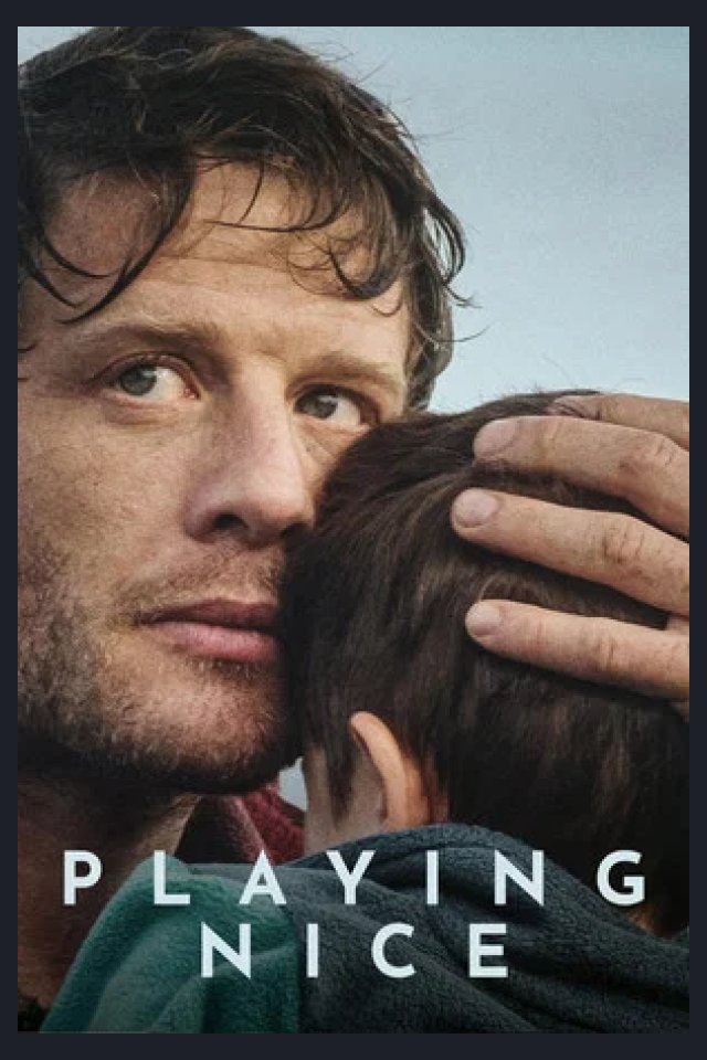 Locandina di Playing Nice