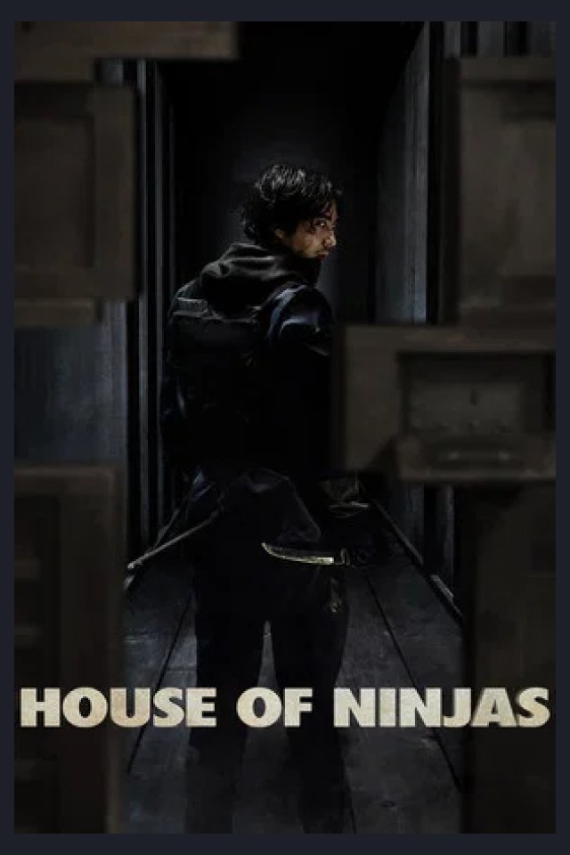Locandina di House of Ninjas