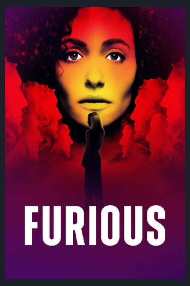 Locandina di Furious