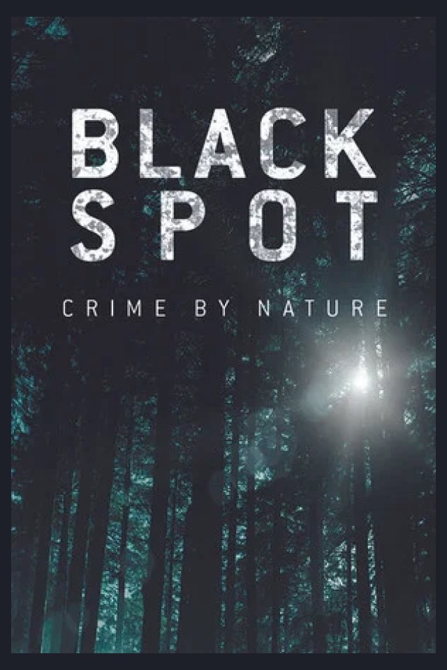 Locandina di Black Spot