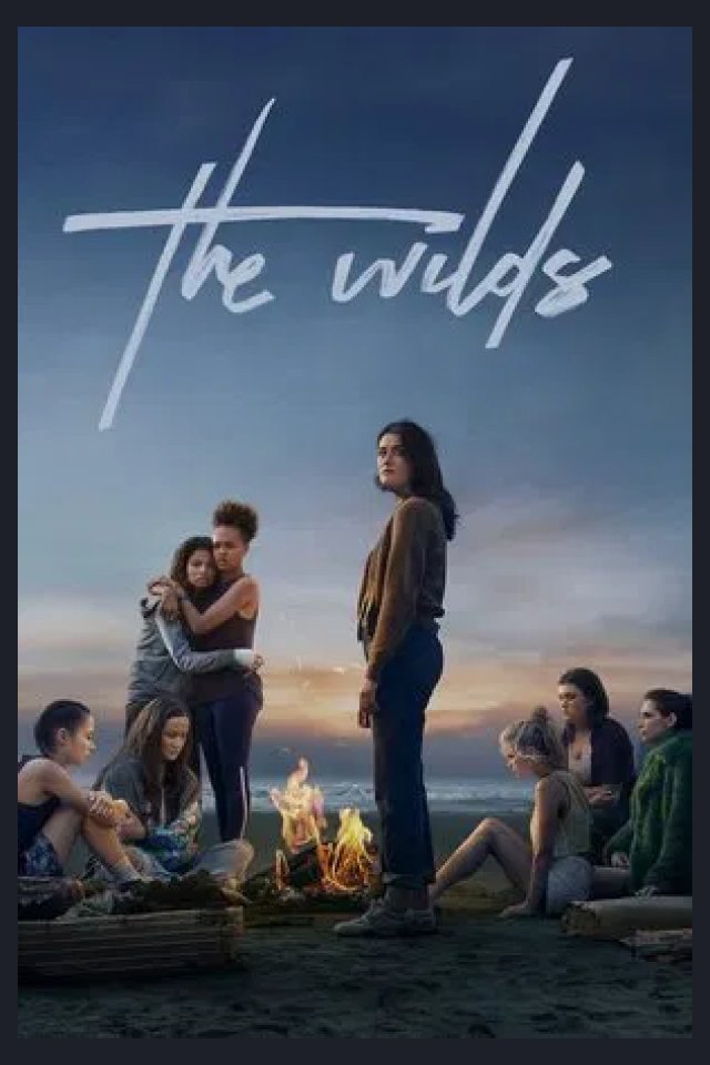 Locandina di The Wilds