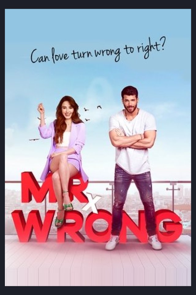 Locandina di Mr. Wrong - Lezioni d'amore